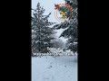 Matroosberg snow trip #Root2Route #HyderabadToAfrica #SnowTrip #SouthAfricaVlogs #ExploreWithMahi