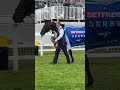 Imagine the horse you look after just won the Betfred DERBY 😮 What a moment for Lambourn’s groom!