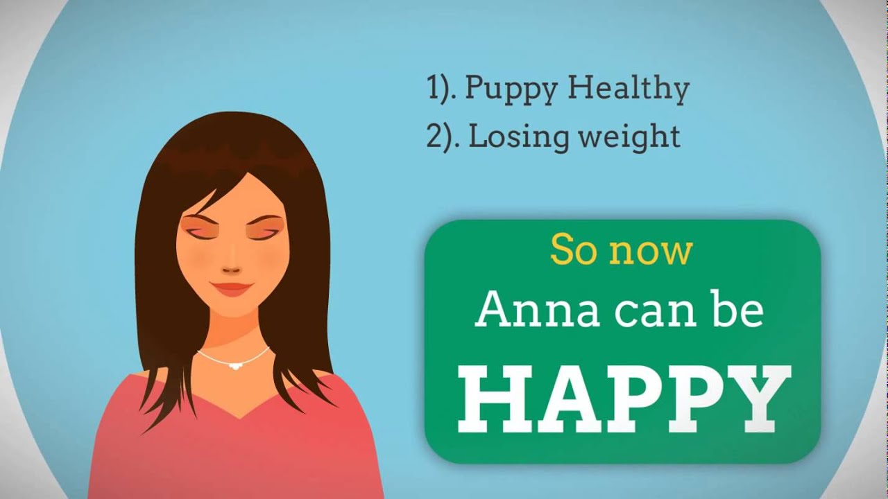 How much should I feed my chihuahua a day? - YouTube
