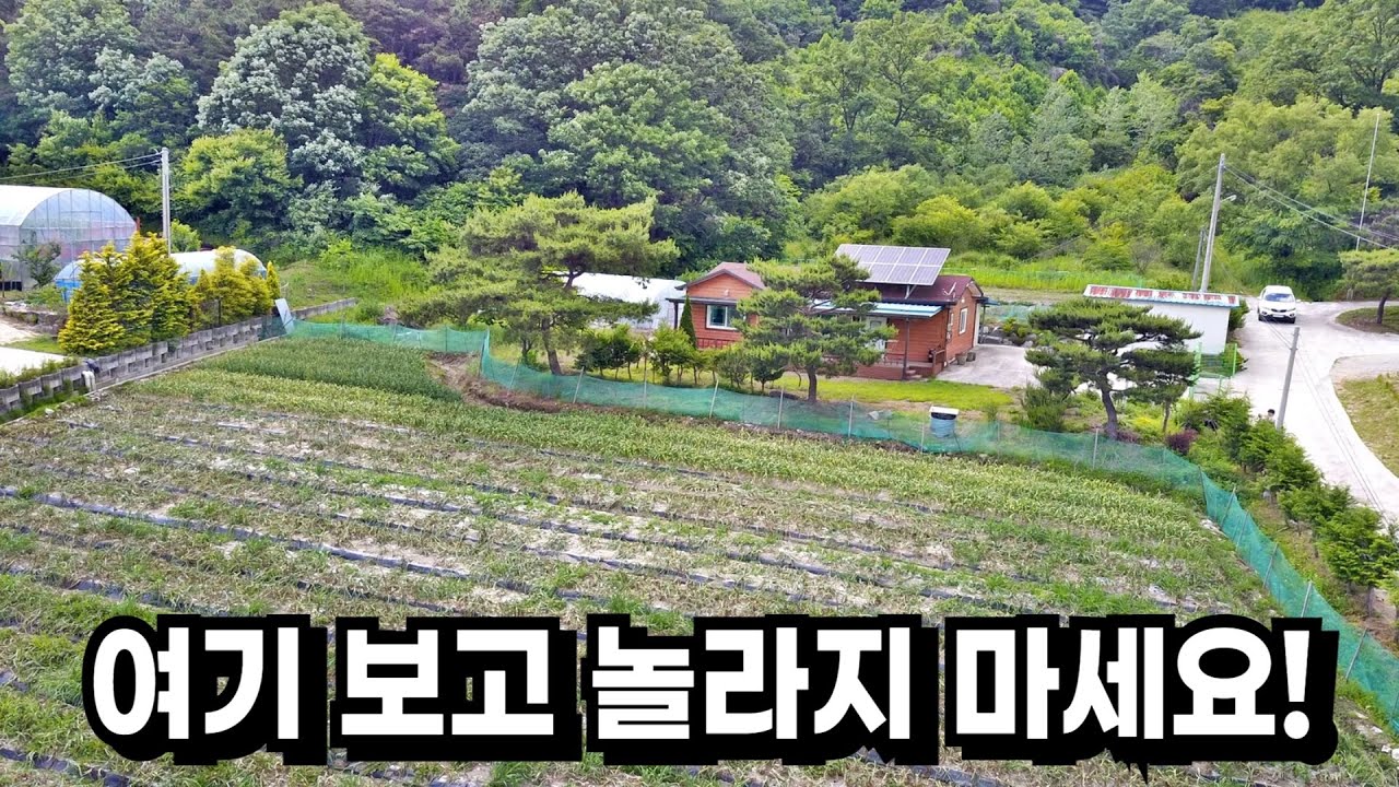 1,009평 전원주택 급매물!
