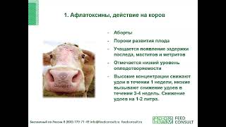 Практическая программа контроля микотоксикозов на ферме 1