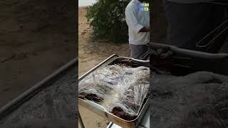 Making Delicious Mutton Cabab