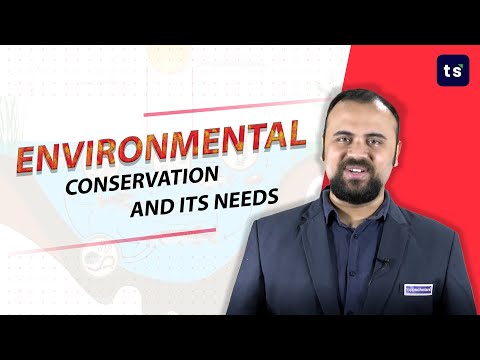 Video: The concept of the environment. Federal Law 