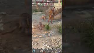 now thats a hot shocking spider zom '#comedy #zombie #gaming #7daystodie #subscribe