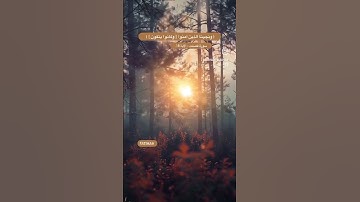 ‎سورة فصلت - الآية 18. ( ونجينا الذين آمنوا [ وكانوا يتقون ] ) #قران #القران_الكريم #quran