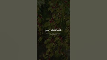 ﴿فقلت استغفروا ربكم إنه كان غفارا﴾ القارئ عبدالله الموسى