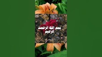 سورة الإخلاص تلاوة جميلة ومريحة #راحة_نفسية #القرآن_الكريم #المغرب #الجزائر #الاردن #السعودية