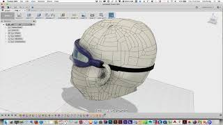 Goggles L1   Lens Modeling