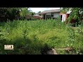 OVERGROWN Backyard Clean Up | TALL GRASS Mow | Community Service | Oddly Satisfying