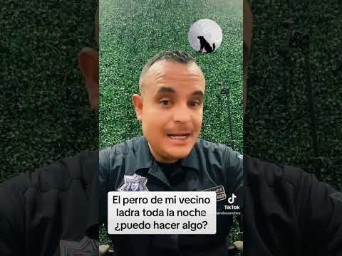 El perro de