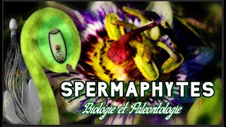 Différence entre l'ovule anatrope et orthotrope