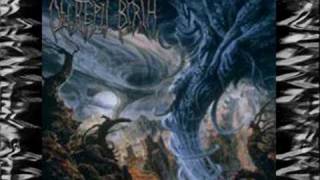 Decrepit Birth - A Gathering of Imaginations