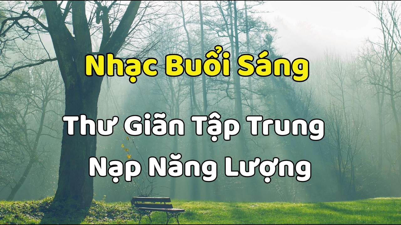 🌞 Nhạc Buổi Sáng Nhẹ Nhàng – Thư Giãn, Tập Trung & Nạp Năng Lượng