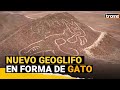 Líneas de Nasca: Descubren figura de felino de más de 2 mil años de antigüedad en Perú