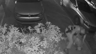 Video shows Palm Bay officer hitting man during arrest