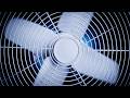 Fan Noise for Sleeping 10 Hours | Fall Asleep Fast with White Noise for Deep Sleep & Focus