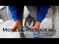 More Horseshoeing