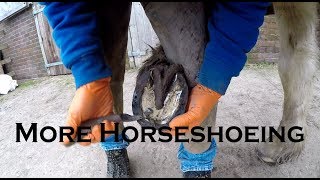 More Horseshoeing