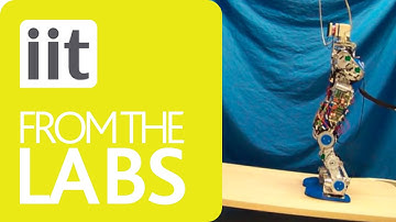 Robotics - Stabilization for the Compliant Humanoid CoMan