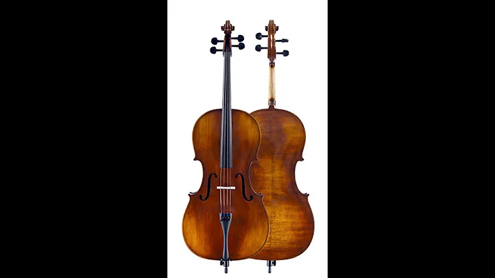 The Big Twin - Two Cello Concerto