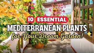 10 Essential Mediterranean Plants for Your Dream Garden! ☀️🏖️