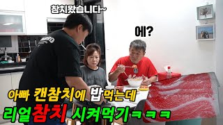 아빠 캔참치에 밥비벼 드시는데 참치시킴ㅋㅋㅋㅋ