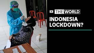 Rumah sakit yang tersedak merawat pasien COVID di koridor saat Indonesia mendekati 'bencana' | Dunia