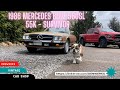 1986 Mercedes Benz 560SL - SURVIVOR - 55K Miles - DENWERKS