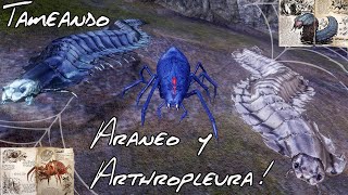 ARANEO Y ARTHROPLEURA, tameo super fácil! Ark Mobile.