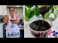 COMO HACER SALSA NEGRA 🔴 Solo 2 INGREDIENTES! para elotes locos, frutas y muchos antojitos mas!