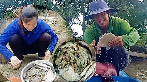 Đi chài sông bờ đập dính tôm sú và cá hanh to bự nhiều quá cuộc sống mưu sinh # Hoàng Lê Vlog #