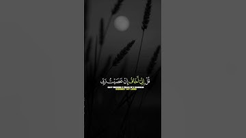 تلاوة خاشعه 🍂🌿#قرآن #تلاوة_خاشعة #راحة_نفسية #quran #اكسبلور #لايك
