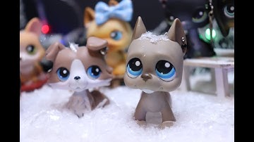 LPS: Christmas Time ~ MEP part 9 For harrie;