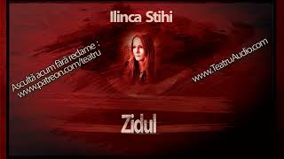 Ilinca Stihi - Zidul