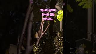 한밤중 빗소리.  숙면모드 #빗소리asmr #수면유도 #rain