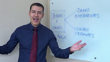 Quem tem direito a lucro cessante?