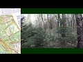 Спортивное ориентирование (Headcam orienteering) - Кубок Смоленска, 4 этап - 04.10.20