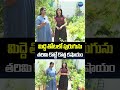 మిద్దె తోటలో పురుగును తరిమి కొట్టే కొత్త కషాయం #terracegardening #terracegardenintelugu #ytshorts