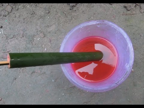 How To Make Pichkari At Home With Bamboo