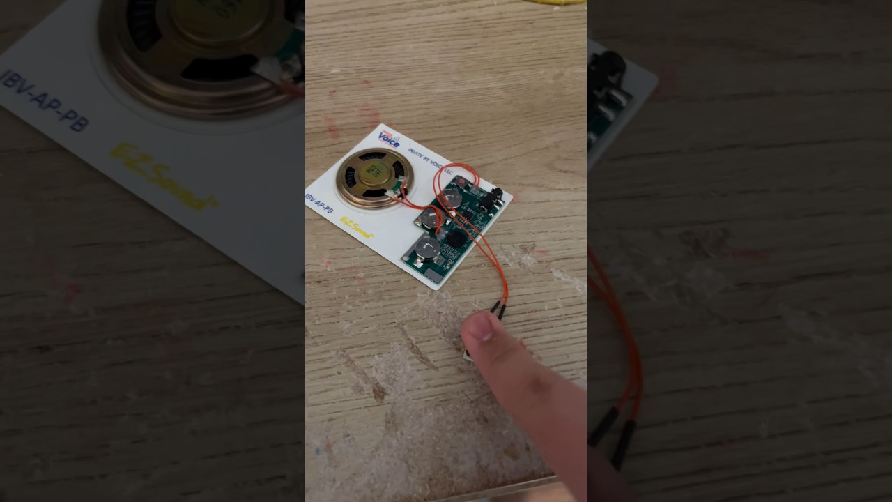 New Woody’s Voice Box With Floppy Version