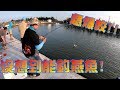 彰化大白鯊海釣場人生首次釣燕魚！隔壁釣竿被拖走！！Fishing in Taiwan    台湾の釣り