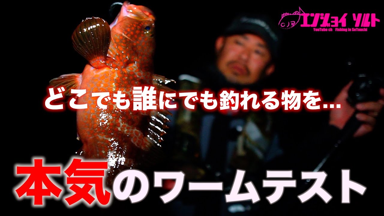 エンジョイソルトページ プロ直伝‼これを見ればもっとアコウが釣れます。ノウハウ凝縮‼ - YouTube