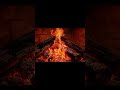Cozy Fireplace Night 🔥 Relaxing Fire Sounds for Sleep | Live Now