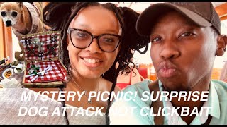 Amazing.co Mystery Picnic In Dallas Texas