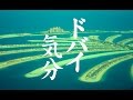 癒しBGM！勉強用BGM！作業用BGM！ドバイに行った気分でリフレッシュ！！