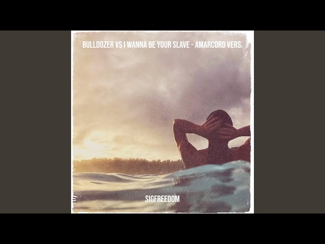 Bulldozer vs I Wanna Be Your Slave - Amarcord Vers.