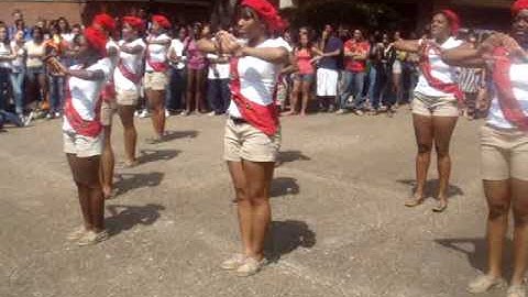 Sole Steppers (Lambda Psi Chapter of Delta Sigma Theta)