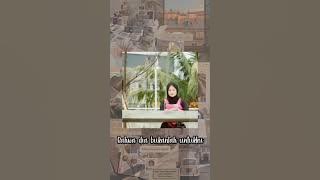 CINTA KAU DIMANA BILLY JOE AVA!!!