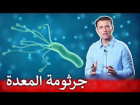 أفضل نوع خضار لِ التهاب المعدة و جرثومة المعدة