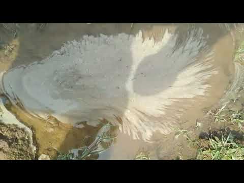 New Original Song A Sona Jan Lebe Ka Toy 2023 